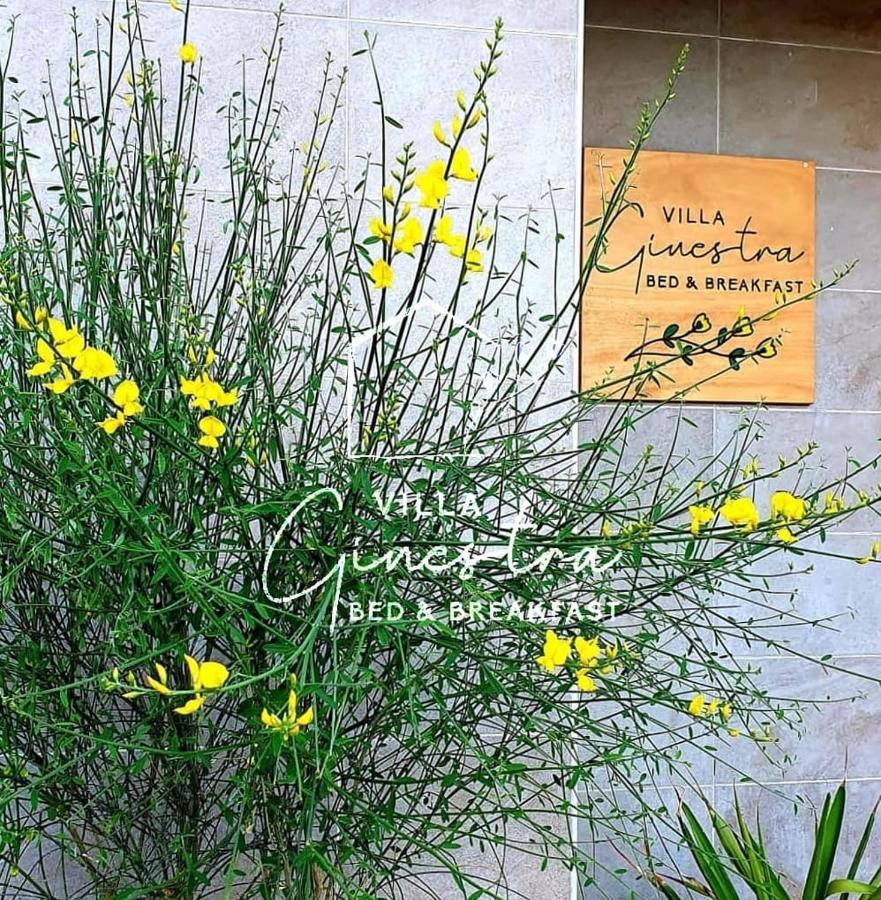B&B Villa Ginestra Pescara Ngoại thất bức ảnh